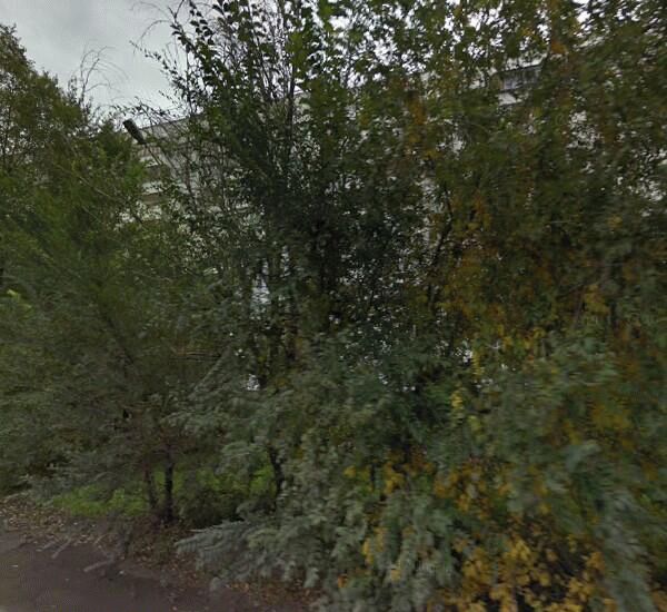 Отделение Сбербанка России по адресу 1-й микрорайон,  11